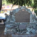 IMG_7653 (May 28, 2024)